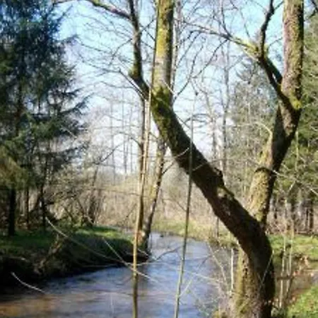 Confortable Pres Du Massif Vosgien - Fr-1-584-403 Bionville